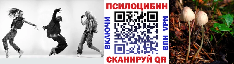 где купить наркоту  Красновишерск  Псилоцибиновые грибы Magic Shrooms 